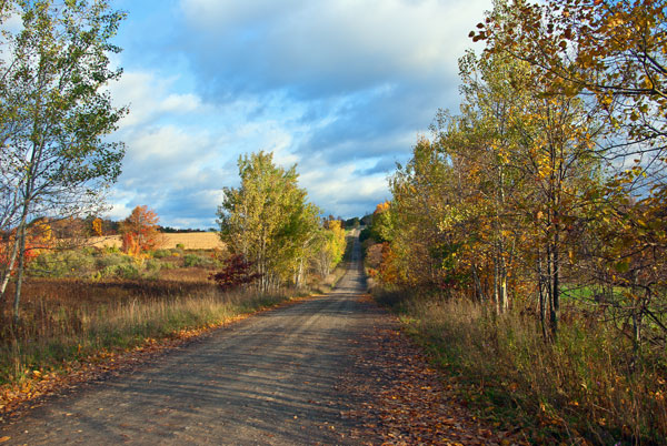 Country Roads in the Fall