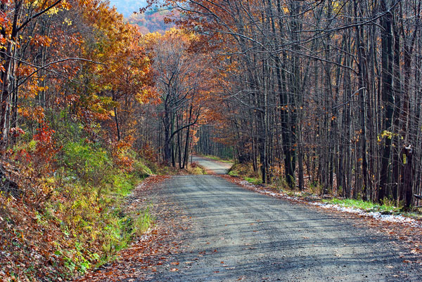 Country Roads in the Fall